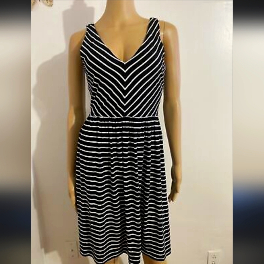 Ann Taylor Loft Striped Skater Dress